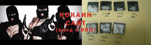 индика Вяземский