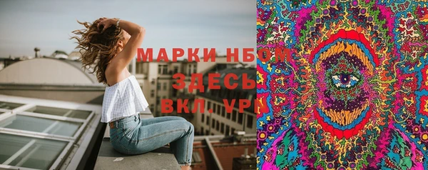 индика Вяземский