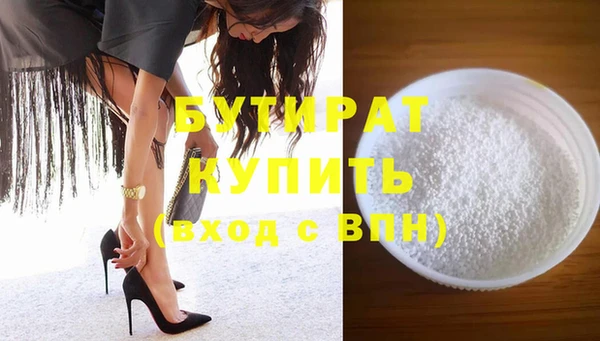 индика Гусь-Хрустальный