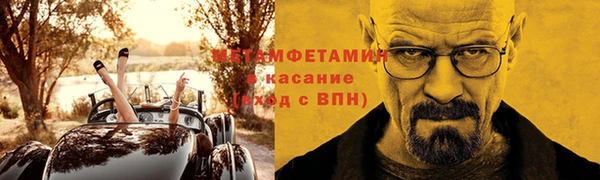 индика Вяземский