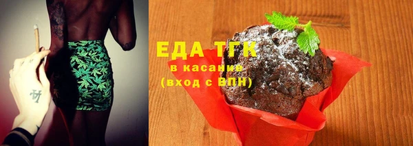 индика Верхний Тагил