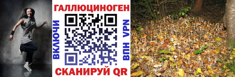 Галлюциногенные грибы мухоморы  Дмитровск 